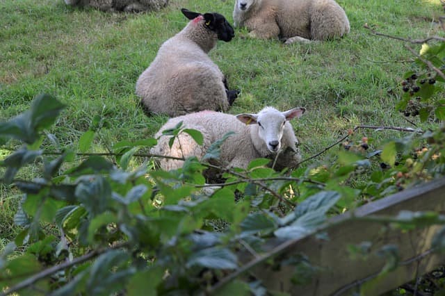 Drug and Alcohol Rehab Broughton