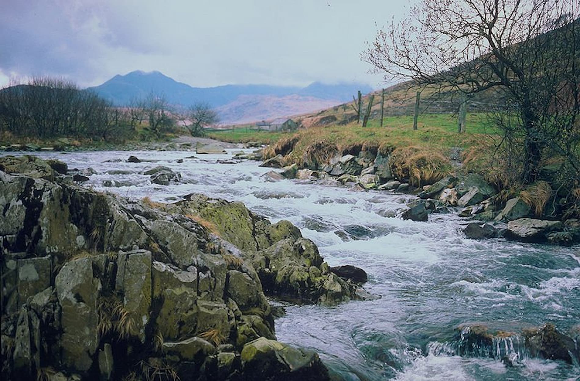 Drug and Alcohol Rehab North Wales