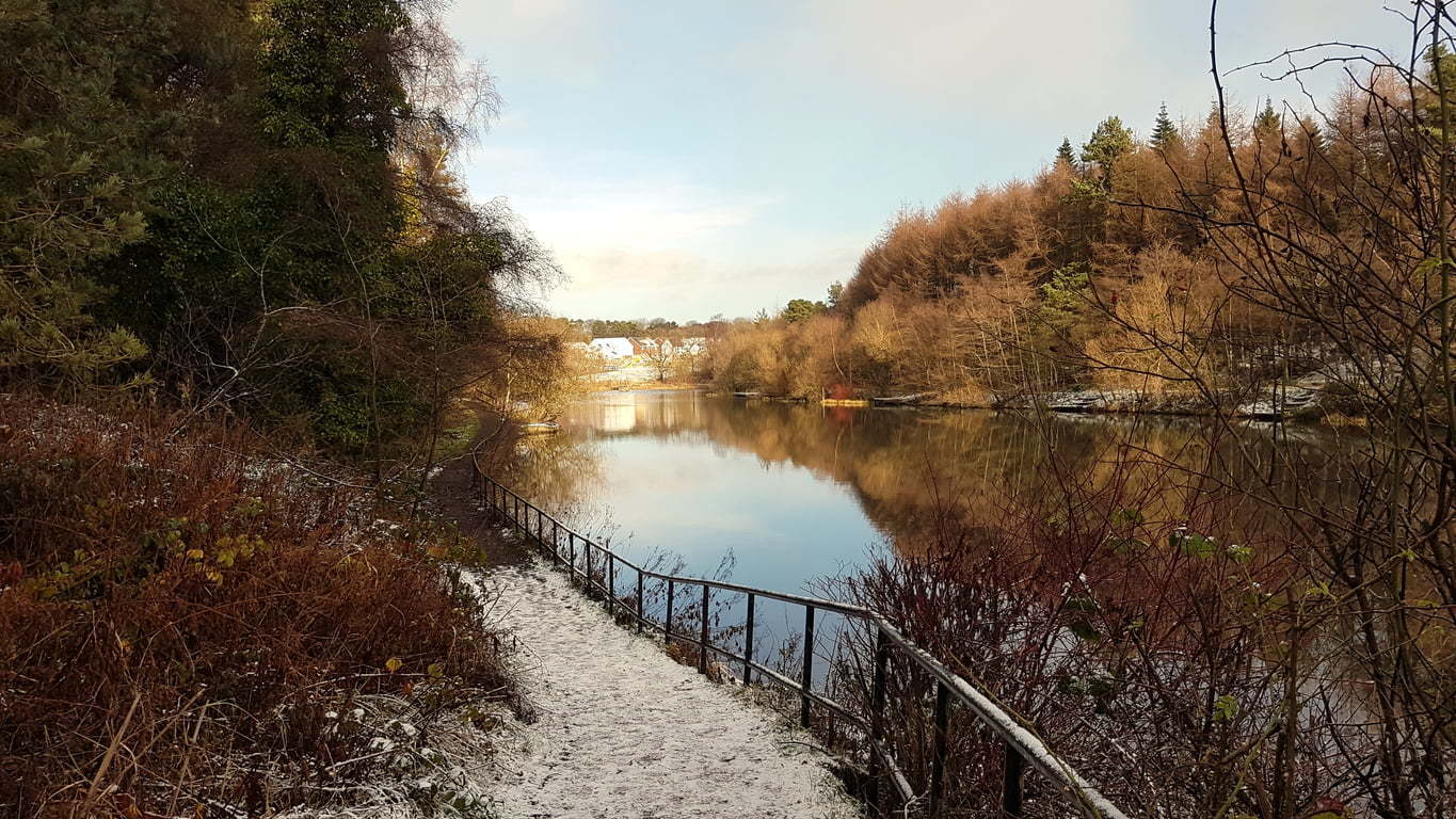 Drug and Alcohol Rehab Livingston