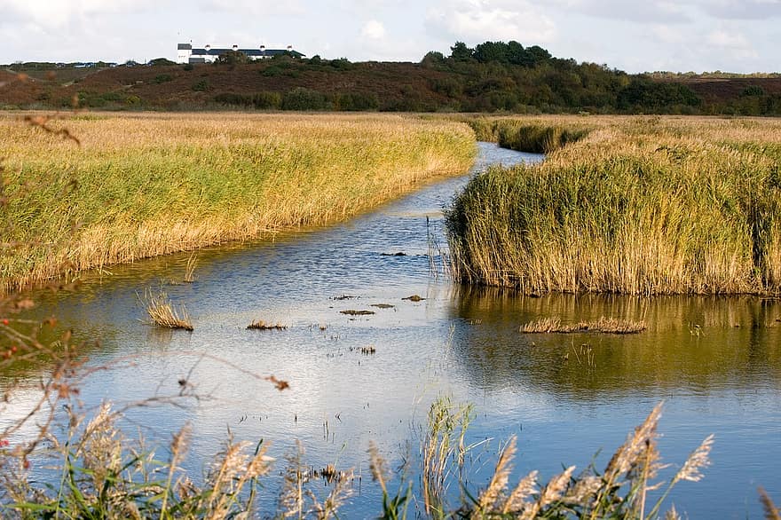 Drug and alcohol rehab suffolk