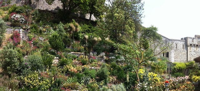 Drug and Alcohol Rehab Windsor