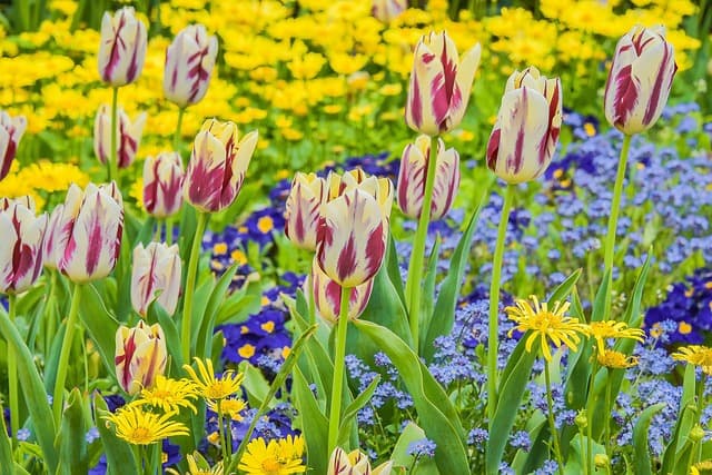 Drug and Alcohol Rehab Ealing