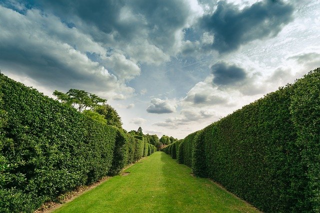 Drug and Alcohol Rehab Hatfield