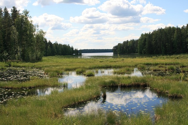 Drug and Alcohol Rehab Sedgley