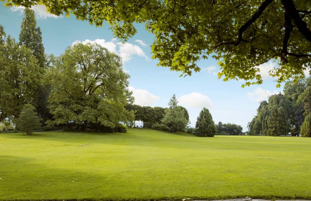 Drug and alcohol rehab Uxbridge