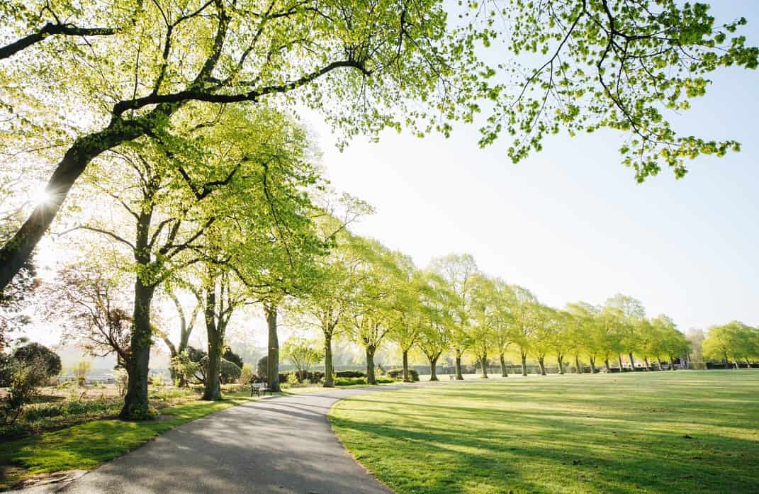 Alcohol Rehab Kingswood