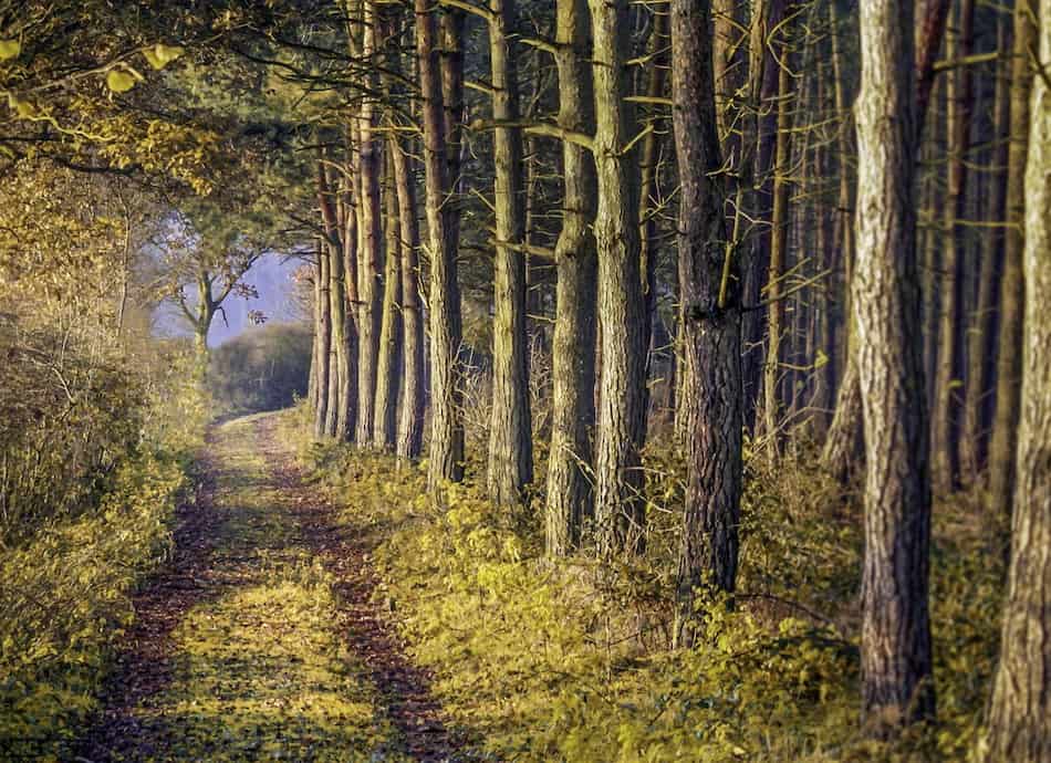 Drug and Alcohol Rehab Bassetlaw