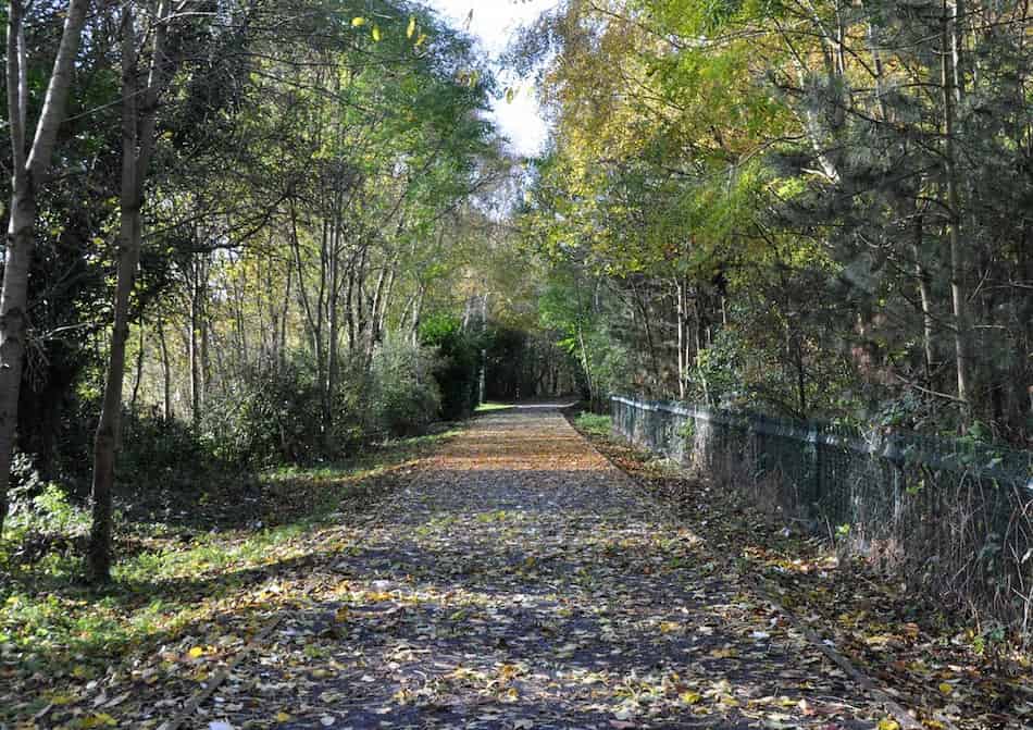 Drug and alcohol rehab Newcastle-under-Lyme